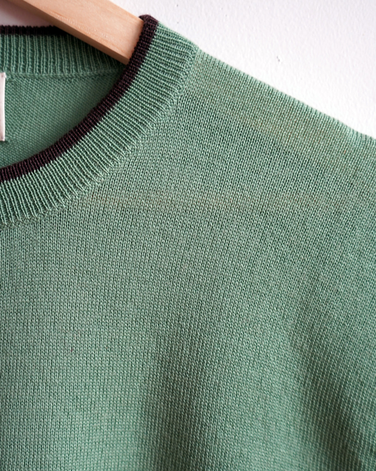 The Endery Tipped Merino Oversized Tee, Fennel — green merino wool tee